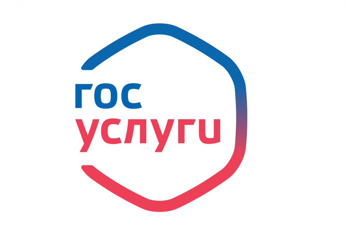 Борские полицейские напоминают о преимуществах получения государственных услуг в электронном виде