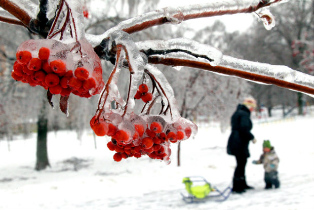 Потепление до +1 ожидается в Нижегородской области в ближайшие дни
