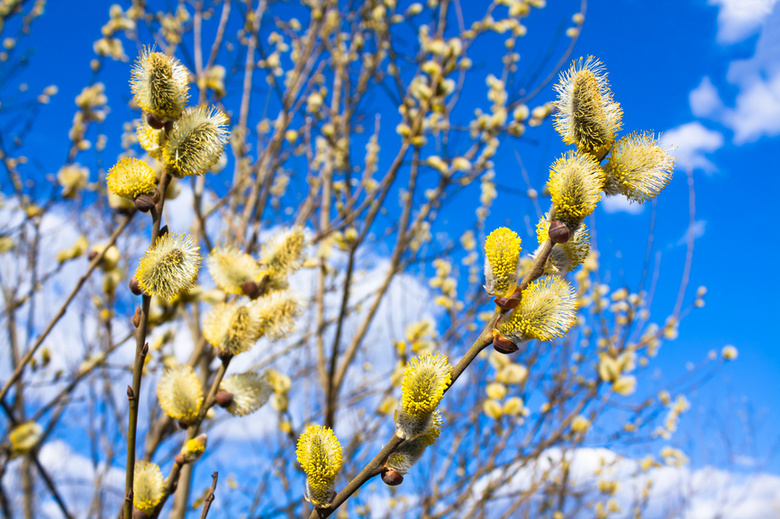 Потепление до +16°С ожидается в Нижегородской области