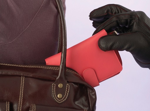 Борские полицейские предупреждают об участившихся случаях карманных краж