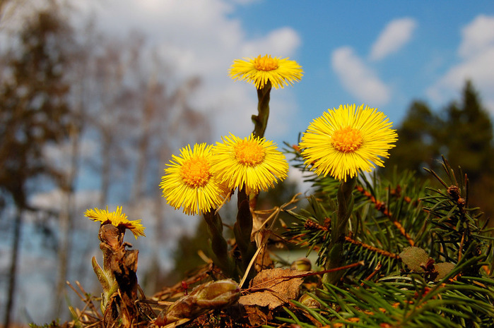 Потепление до +20 ожидается в Нижегородской области в ближайшие дни