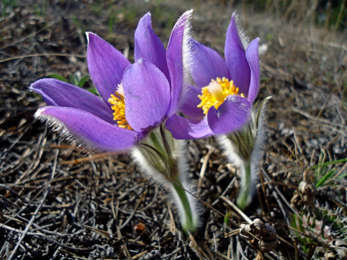 Повышение температуры воздуха до +19 °C ожидает жителей области