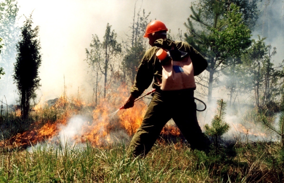 Набор добровольцев — лесных пожарных стартует в Нижегородской области