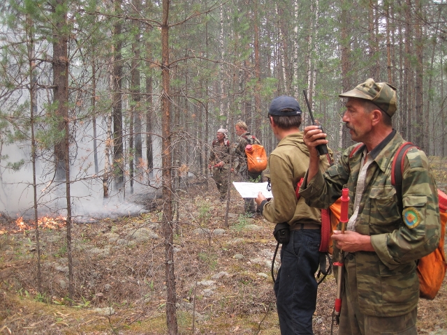 Останови огонь: природные пожары и что могу сделать я