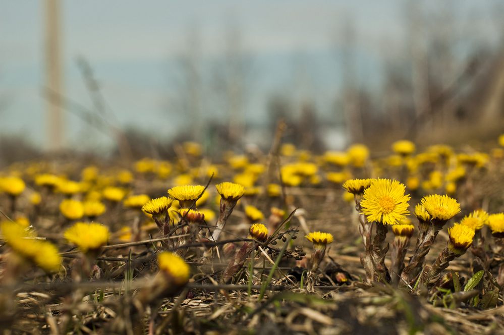 Небольшой дождь и тепло до +10 принесут жителям Нижегородской области первые дни апреля
