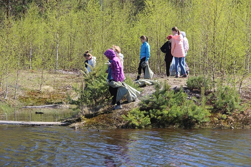 Итоги акции "Зеленая весна" в Керженском заповеднике