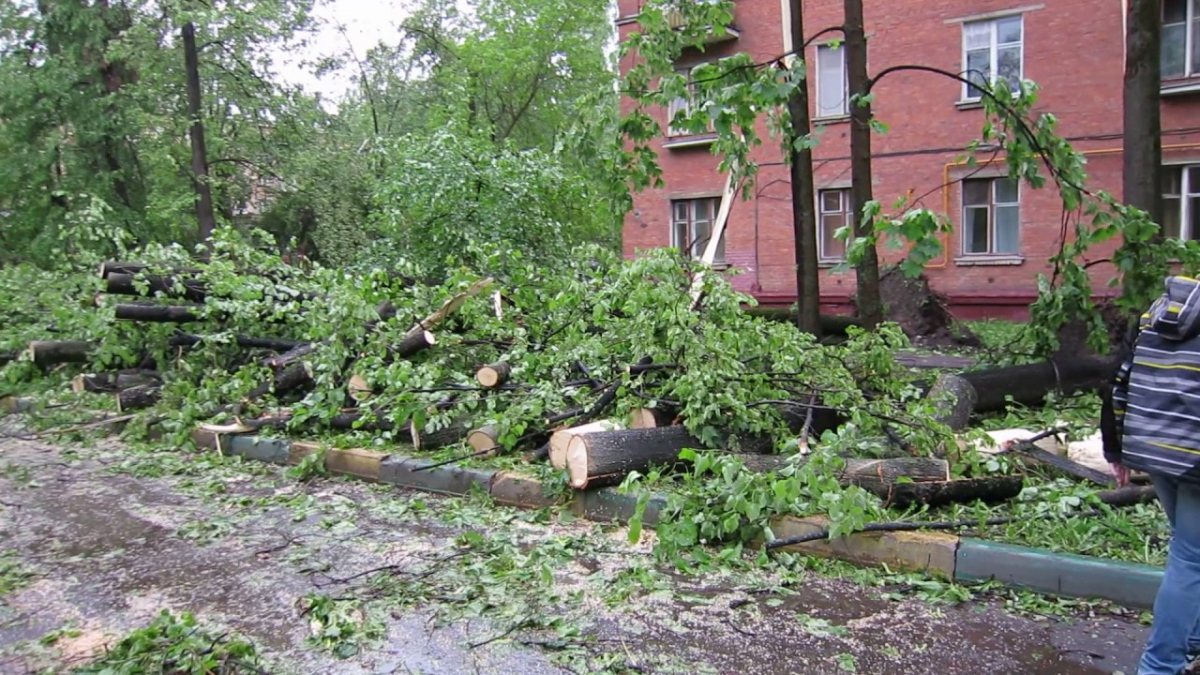 Последствия урагана в Нижегородской области исправят за 100 млн рублей