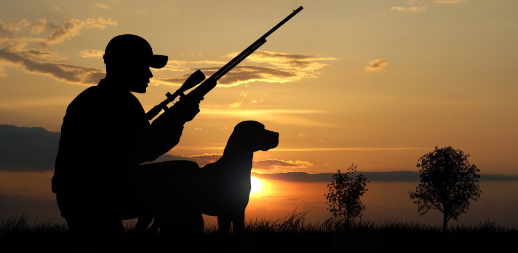 Прием заявок на охоту на медведя и копытных стартует в Нижегородской области 1 мая