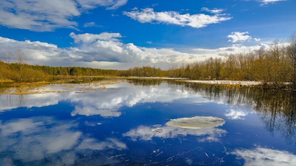 Весеннее половодье идет на спад в Нижегородской области