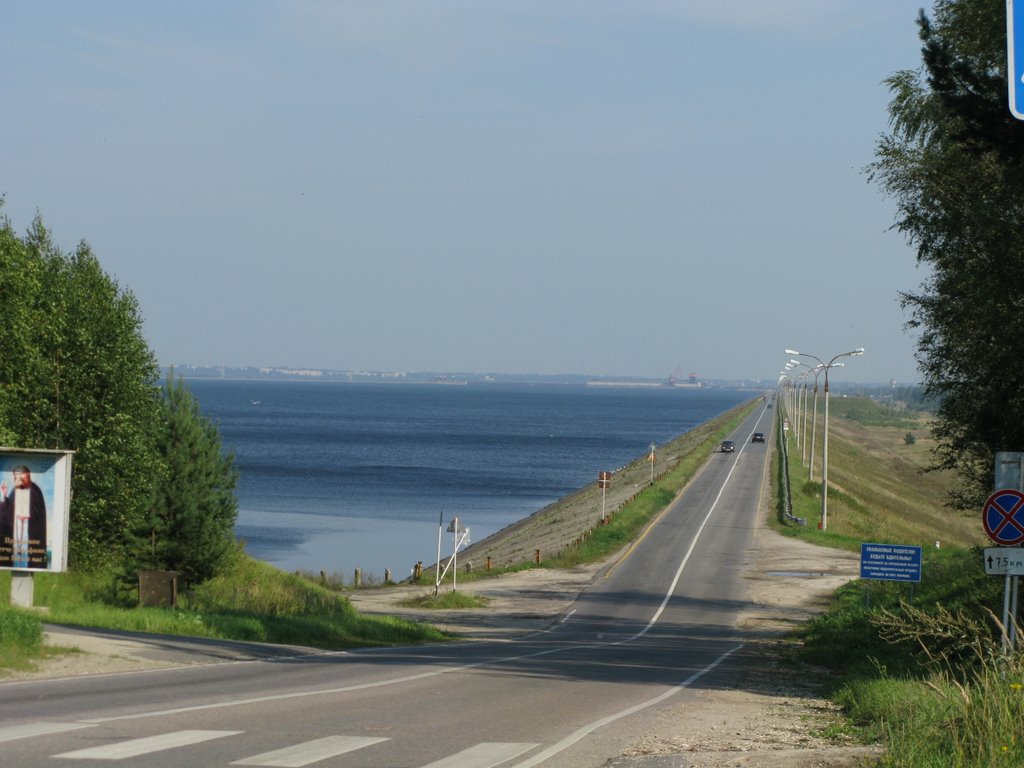 Волгоречье бор фото