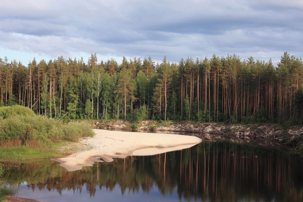 Керженскому заповеднику требуются волонтеры