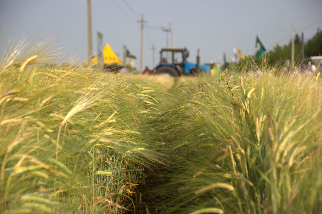 Упорный труд принес плоды