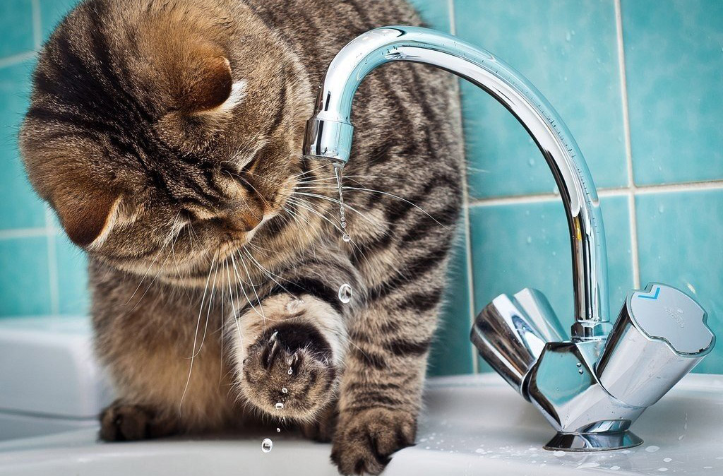 Отключение холодного водоснабжения в г.Бор