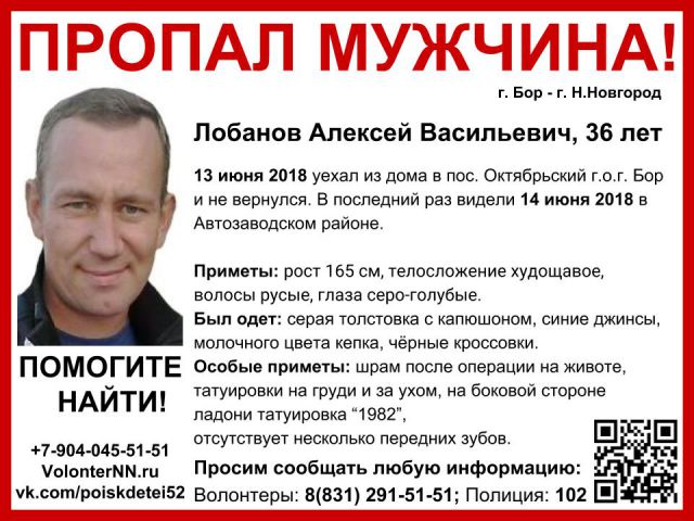 Алексея Лобанова, пропавшего на Бору три недели назад, продолжают искать в Нижегородской области
