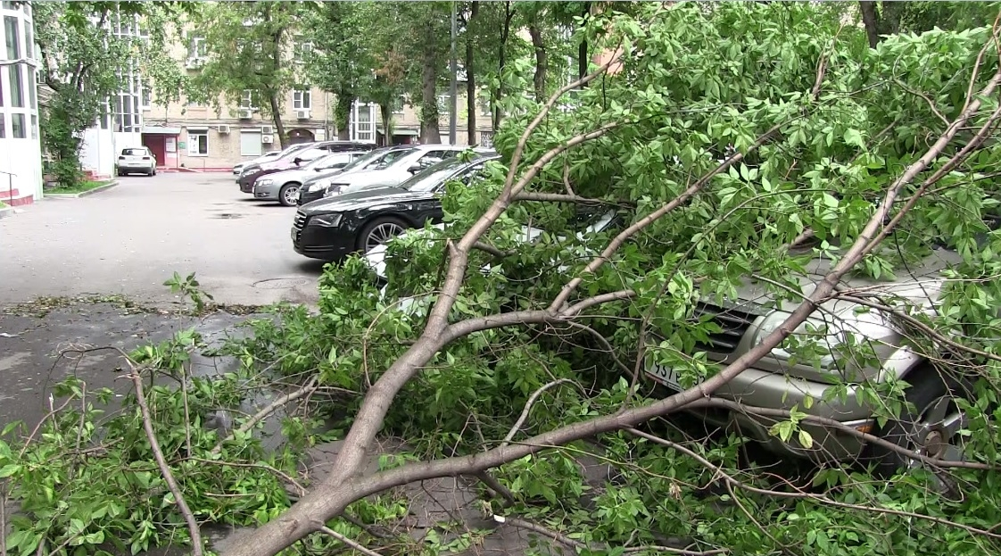 Более 190 жилых домов в Нижнем Новгороде, на Бору и в Городецком районе остались без света из-за грозы и ливней