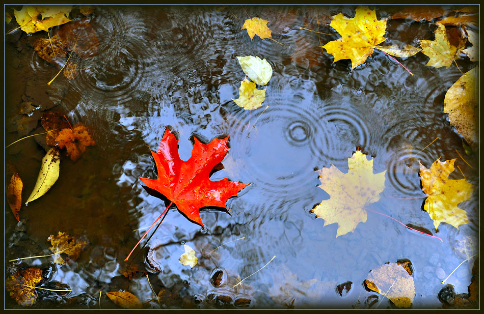 Похолодание до +4 °C прогнозируется в Нижегородской области