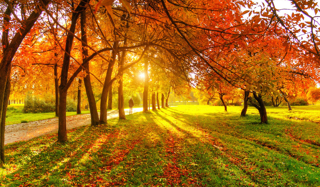 «Бабье лето» продлится в Нижегородской области еще неделю