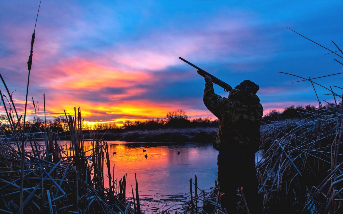 Бра­ко­нье­ров в Ни­же­го­род­ской об­ла­сти бу­дут от­сле­жи­вать с воз­ду­ха