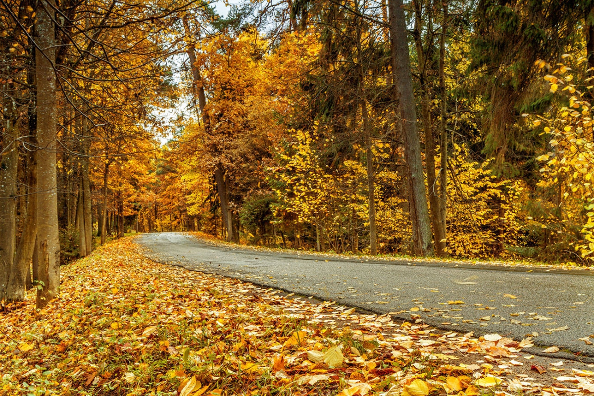 Дождливая и снежная неделя наступила в Нижегородской области