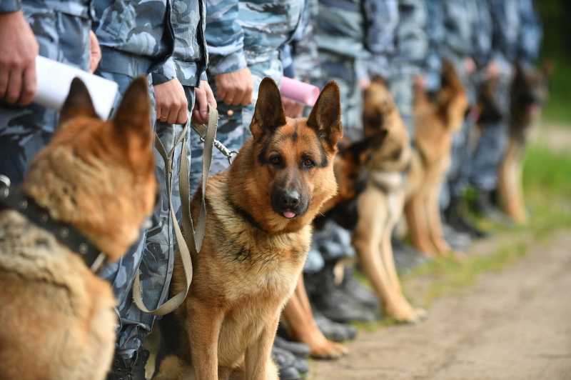 Око­ло 200 че­ло­век эва­ку­и­ро­ва­ли из бор­ской ЦРБ из-за по­до­зри­тель­но­го рюк­за­ка