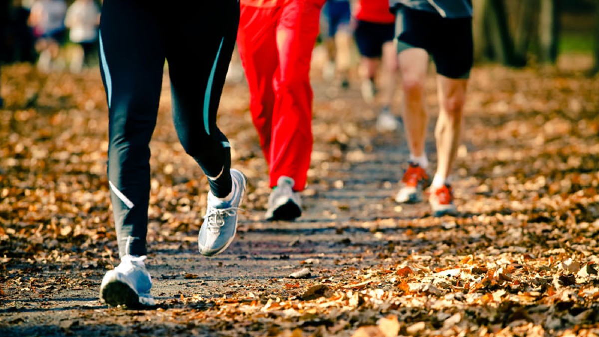 Ограничение движения в связи с проведением акции «Красочный забег»