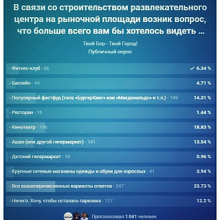 Идеальный торговый центр в городе Бор (по итогам нашего опроса) 1