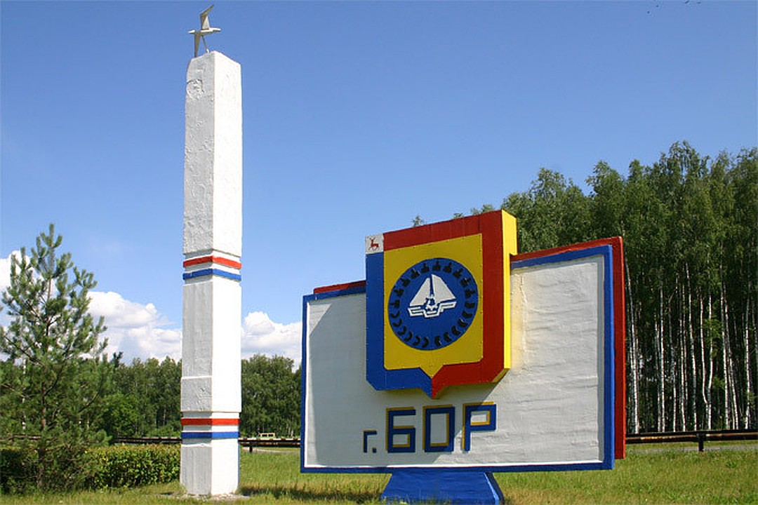 Делегация г. о. г. Бор приняла участие в акции «52 района 52-го региона»