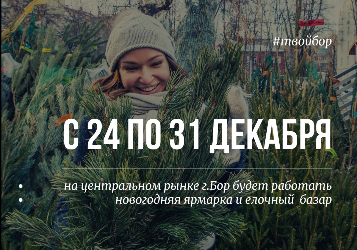 С 24 по 31 декабря на центральном рынке будет работать ёлочный базар