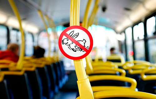 Как расплатиться в общественном транспорте с 1 февраля