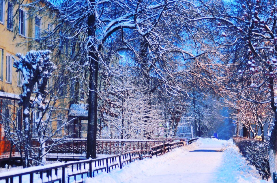 Звездопад, борчанин на Первом канале, мусорная реформа, «Мандарин» и другие популярные новости недели