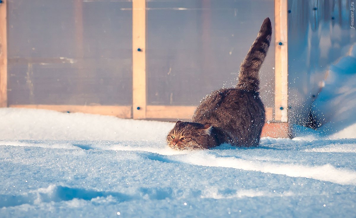 Постепенное потепление ожидается в Нижегородской области в ближайшие три дня