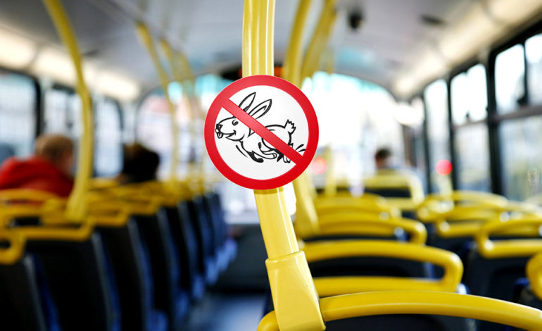 Проезд в маршрутках теперь обойдется дешевле при оплате картой Visa