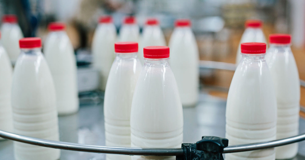 Горячая линия по качеству молочной продукции работает в Управлении Роспотребнадзора