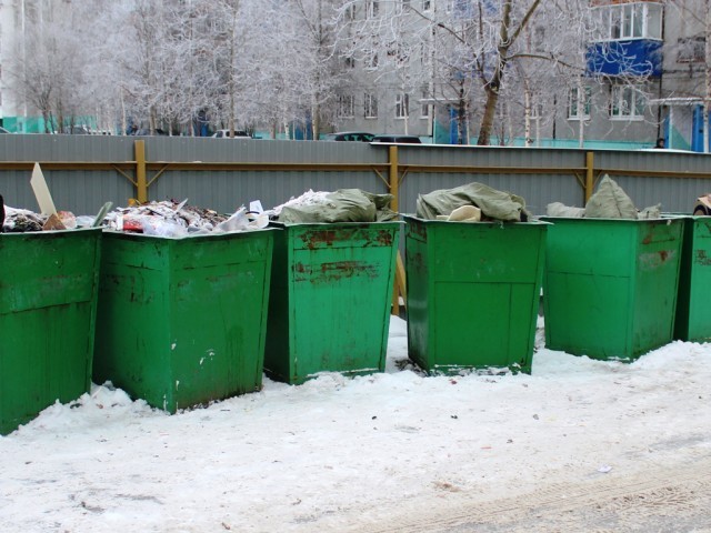 Горячая линия по вывозу ТКО на Бору