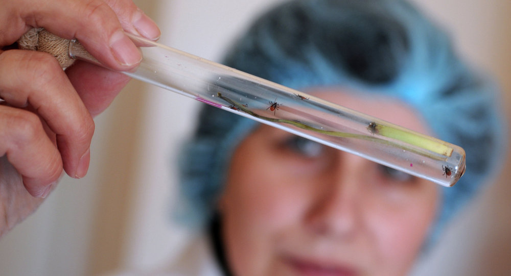 Жители Нижегородской области с начала месяца "подхватили" 13 клещей. Как избежать опасных последствий?