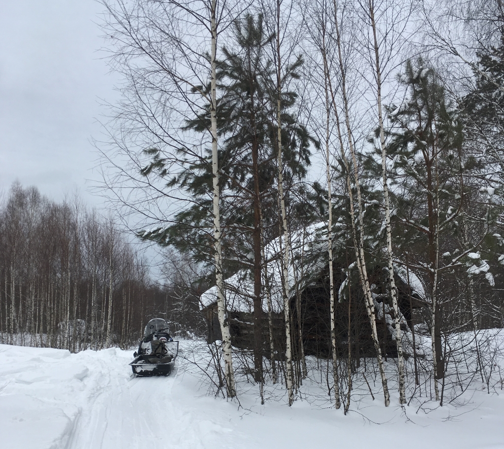 В Керженском заповеднике подведены итоги зимнего маршрутного учета зверей
