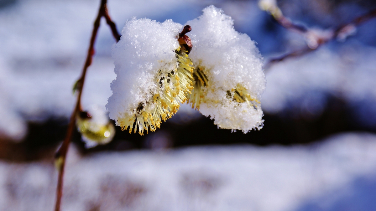 Снег придет на смену солнечной погоде в Нижегородской области