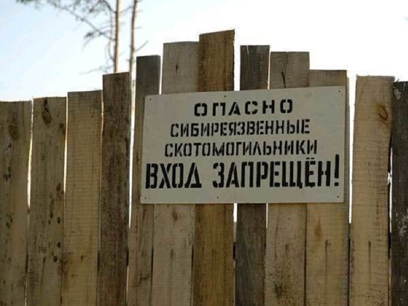 Опасный скотомогильник едва не затопило в Борском районе