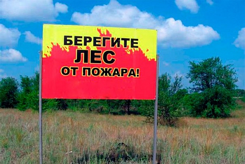 Высокая пожароопасность лесов сохранится в Нижегородской области с 6 по 9 мая