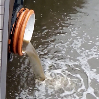 Сточная канава, а не озеро в центре города Бор? 3