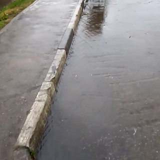 Сточная канава, а не озеро в центре города Бор? 1