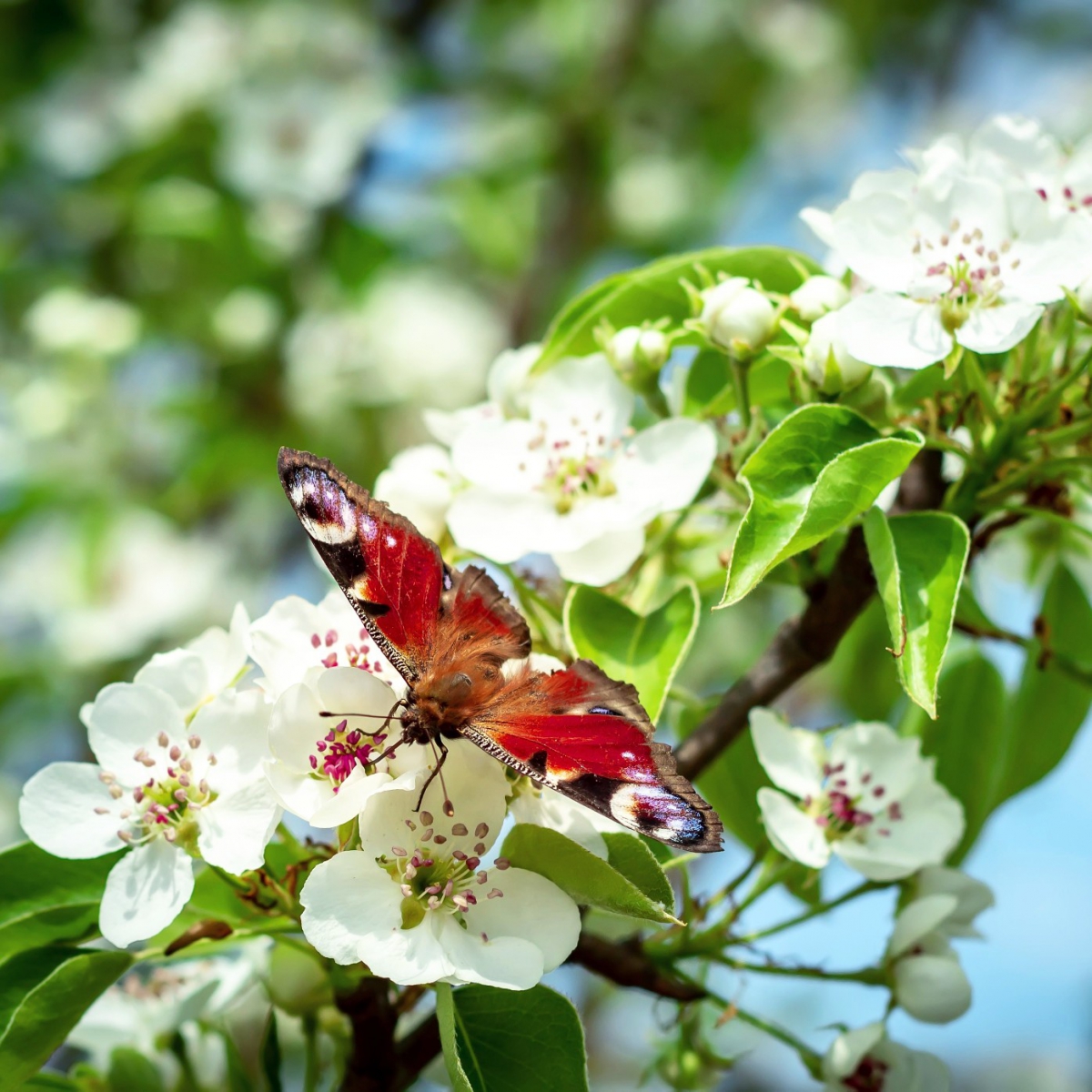 Ано­маль­ная жа­ра со­хра­нит­ся в Ни­же­го­род­ской об­ла­сти до сре­ды
