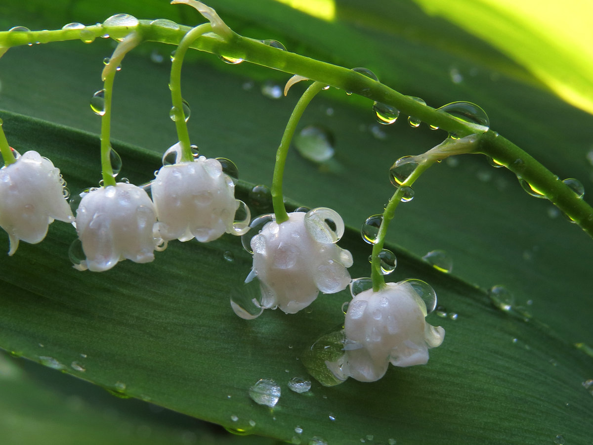 Грозы и сильный ветер ожидаются в Нижегородской области