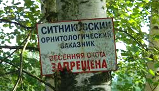 В Борском районе жидкими нечистотами заливает природный орнитологический заказник