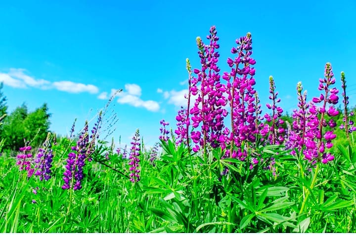 Неболь­шое по­хо­ло­да­ние ожи­да­ет Нижегородскую область