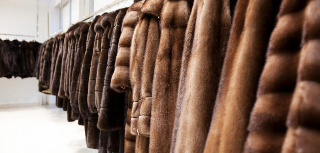 Разбойники с борской дороги похитили шубы на 13 миллионов рублей