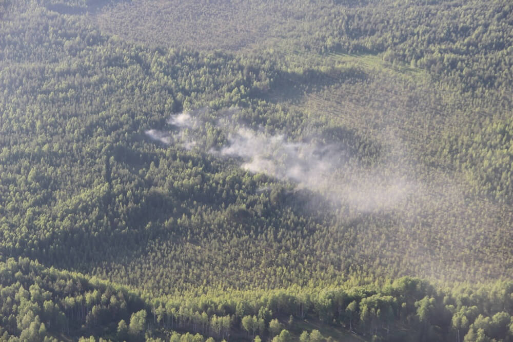 Керженский заповедник горел из-за грозы