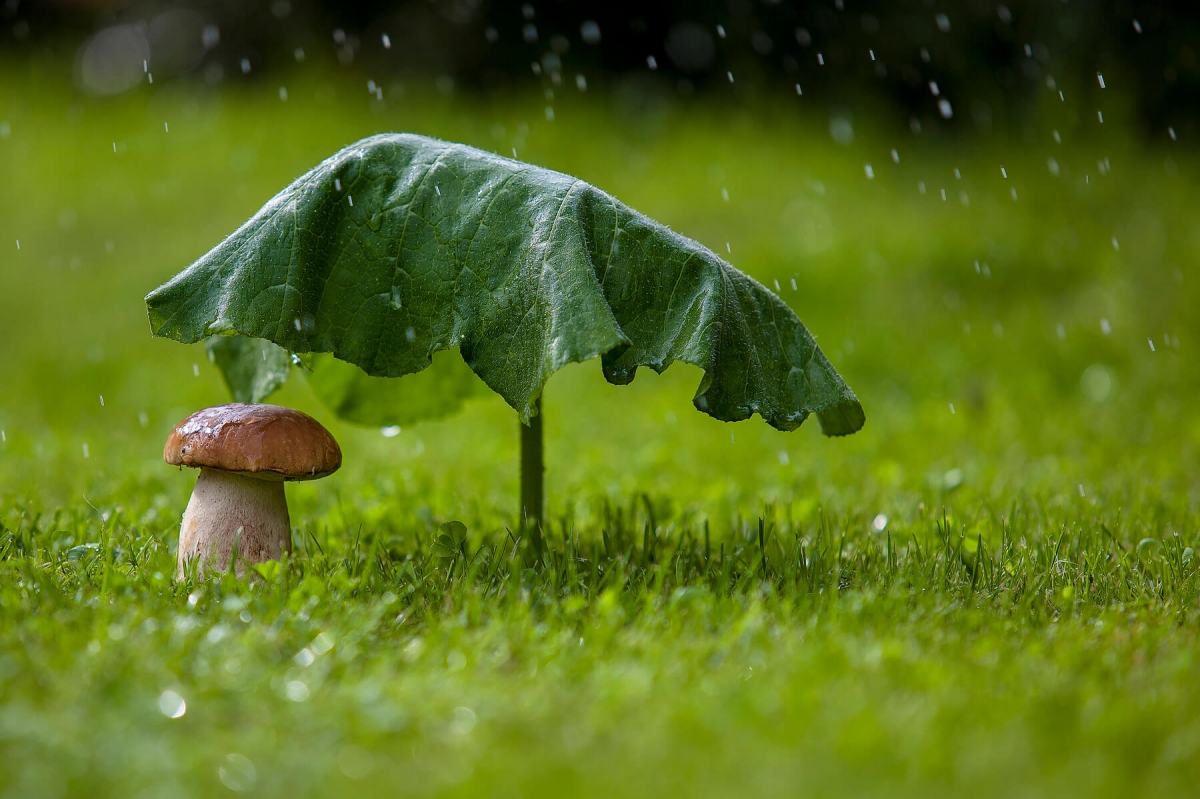 Дождливая пора началась в Нижегородской области