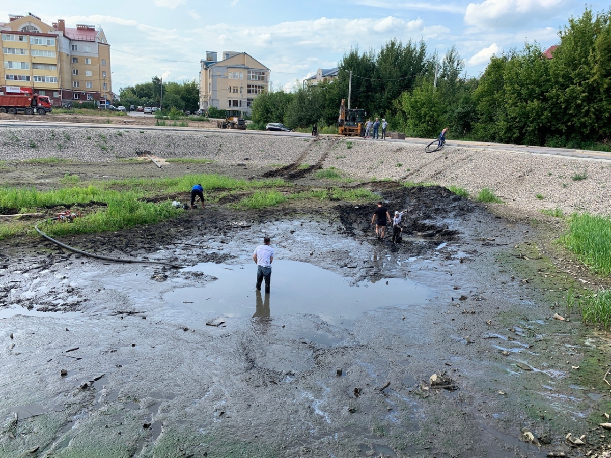 Видео дня: работы на Мухинском озере