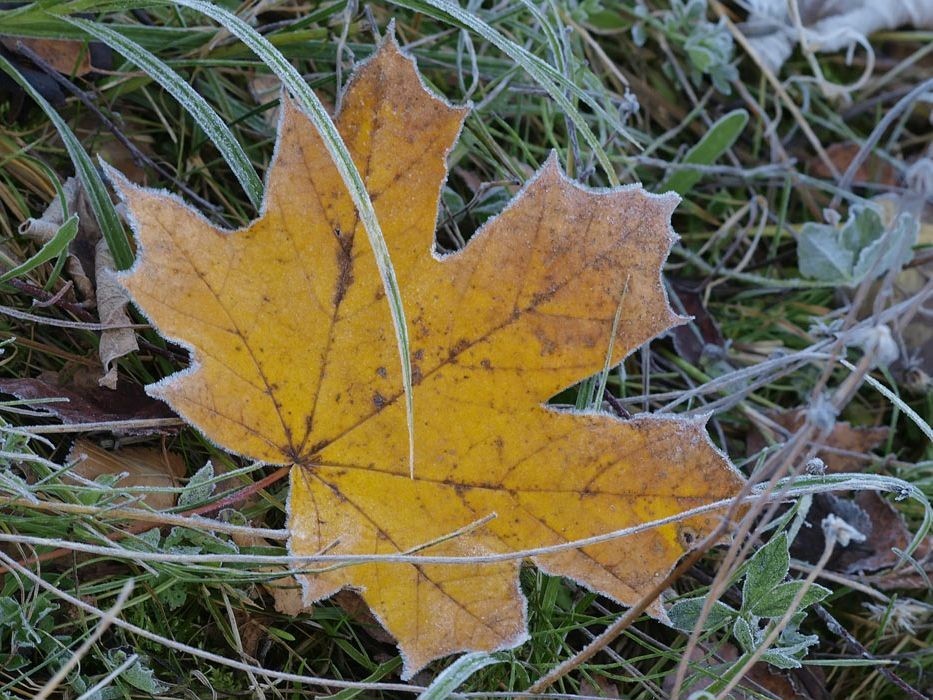 За­мо­роз­ки ожи­да­ют­ся в Ни­же­го­род­ской об­ла­сти